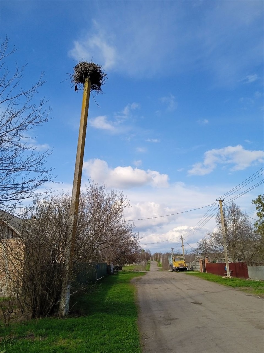 Тут живуть лелеки